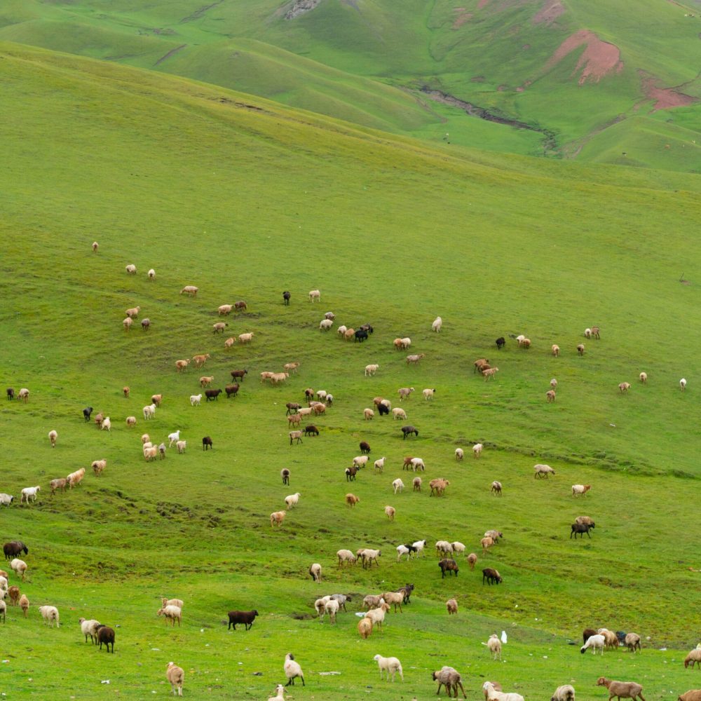 austin-JKTmPSS2TxA-unsplash